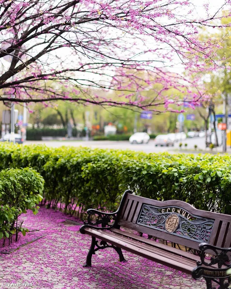 @ig_armenia — Armenia