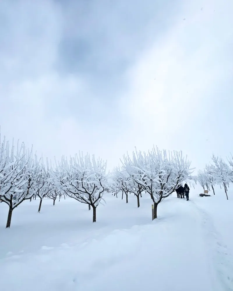 @armenia.travel — Armenia Travel